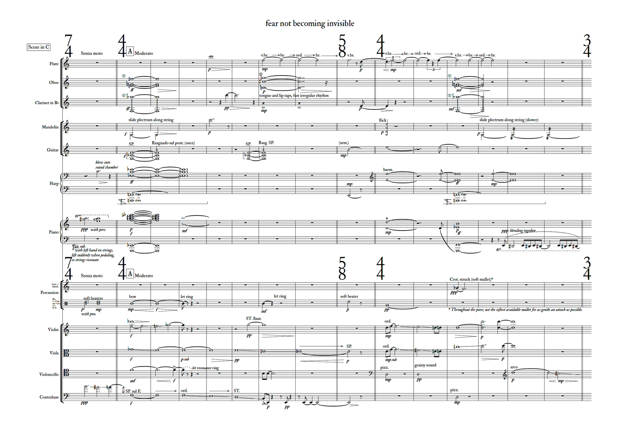 Page one of the 'fear not becoming invisible' score: twelve parts from flute to contrabass, mostly long held notes annotated 'slide plectrum along string' and 'blow into sound chamber.'