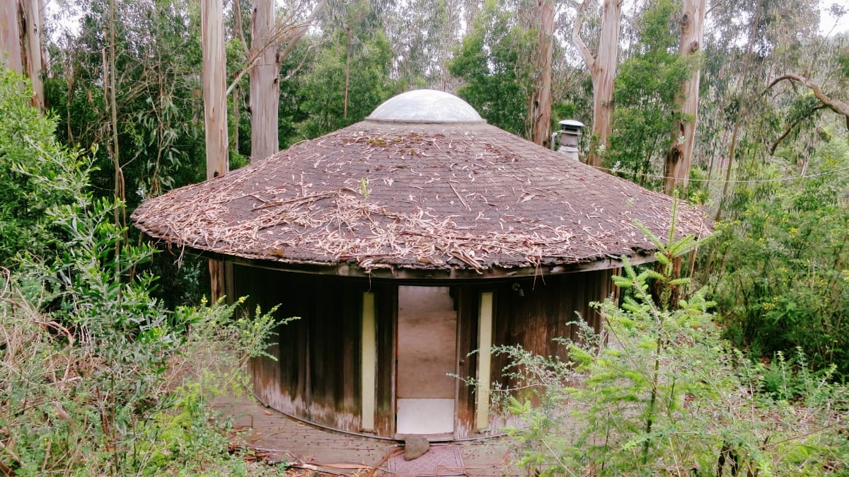 A round wooden hut with a domed skylight sits in overgrown brush at Druid Heights, its shingled roof littered with eucalyptus bark beneath tall trees.