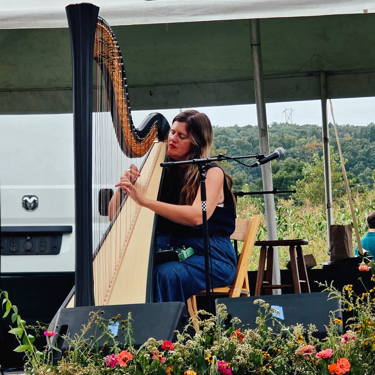 Mary Lattimore plays a concert harp under a tent at Plantasia, eyes lowered, with zinnias and wildflowers along the stage front and a cornfield and wooded hills behind.
