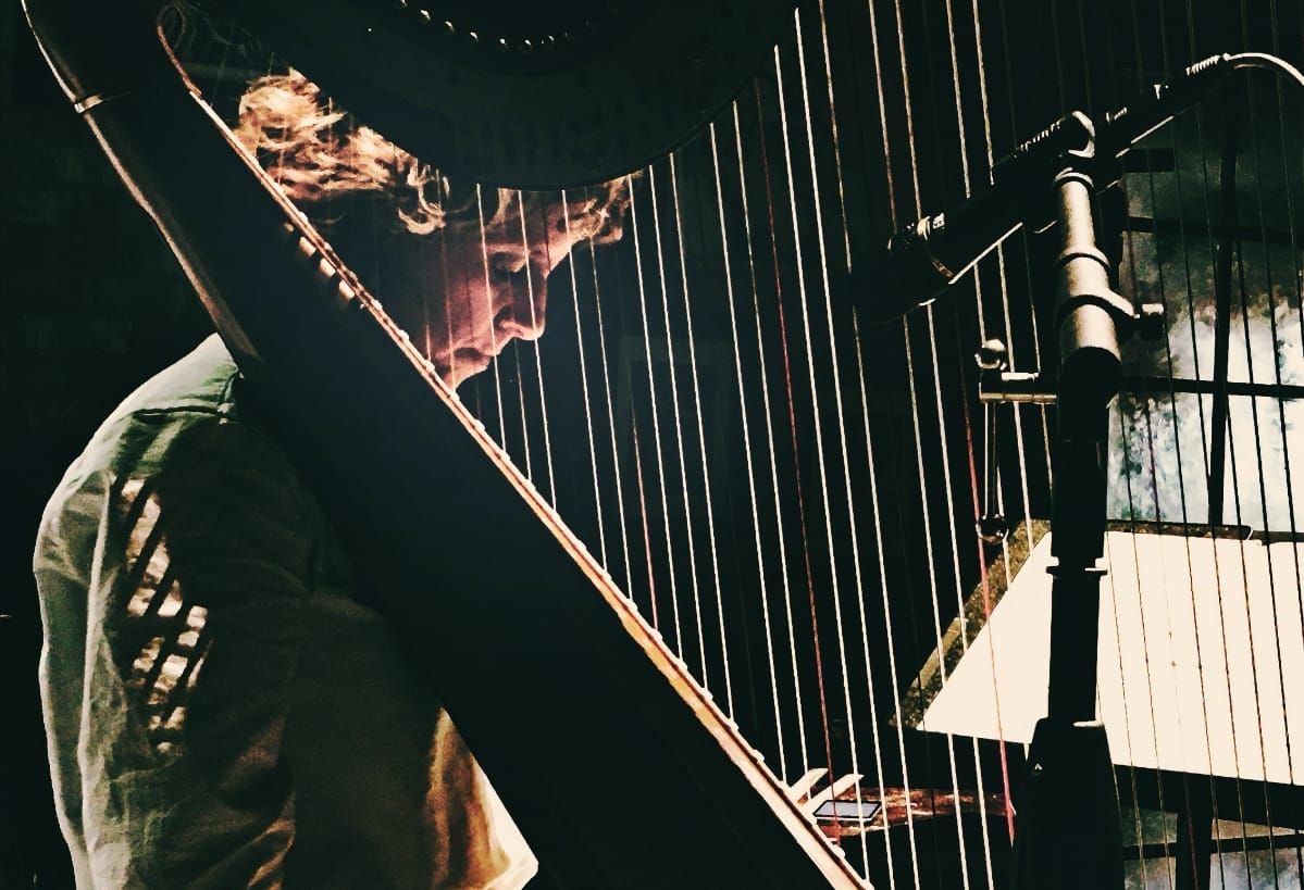 Zeena Parkins performs on electric harp with microphones, warm theatrical lighting against dark background, angular composition. Photo by Claire Paul.