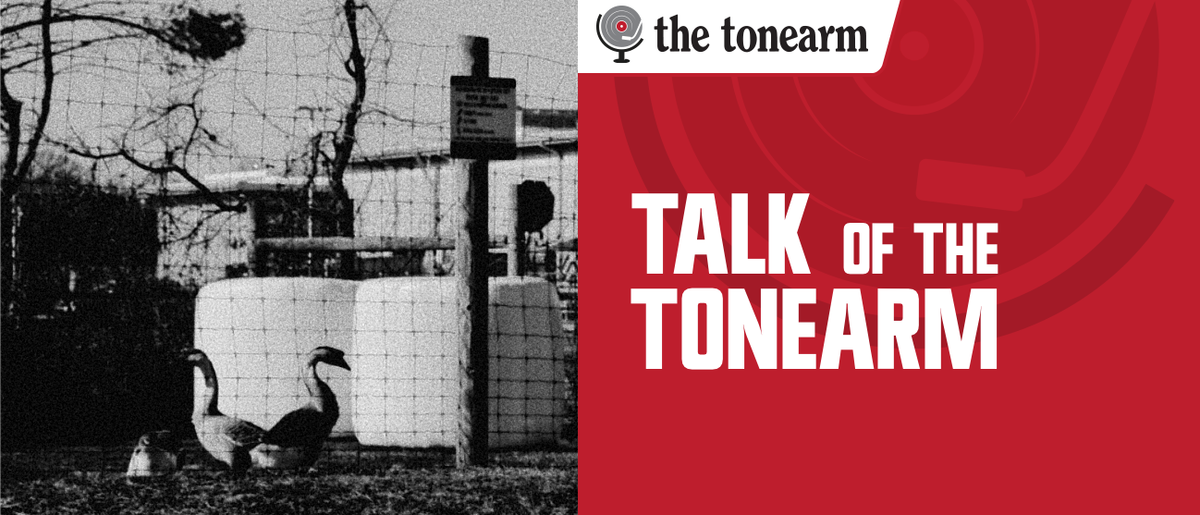 Talk Of The Tonearm masthead. Two geese stand by a wire fence in a grainy black-and-white farmyard, beside a red panel with the newsletter title and The Tonearm logo.