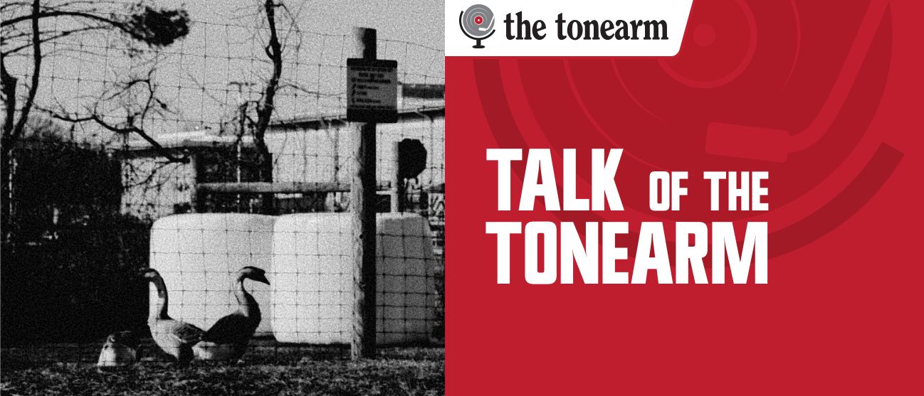 Talk Of The Tonearm masthead. Two geese stand by a wire fence in a grainy black-and-white farmyard, beside a red panel with the newsletter title and The Tonearm logo.