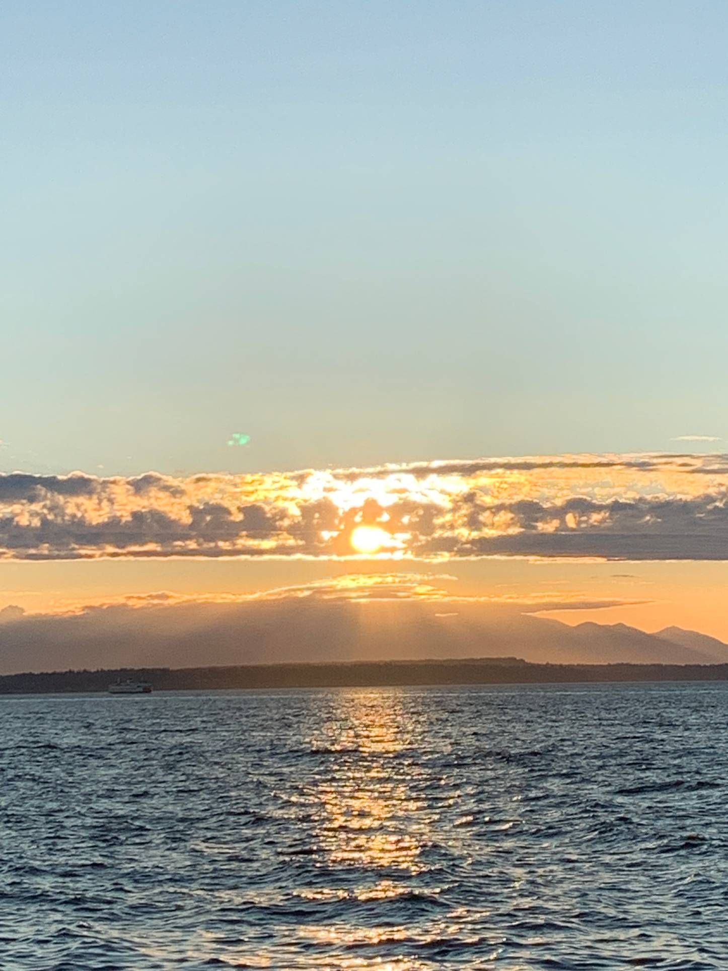 The Midpoint of Summer feature image