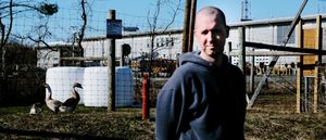 Jason Calhoun stands at the right of a grassy lot in a grey hoodie, half-turned from the camera, with two geese, a wire fence, and low industrial buildings behind him.