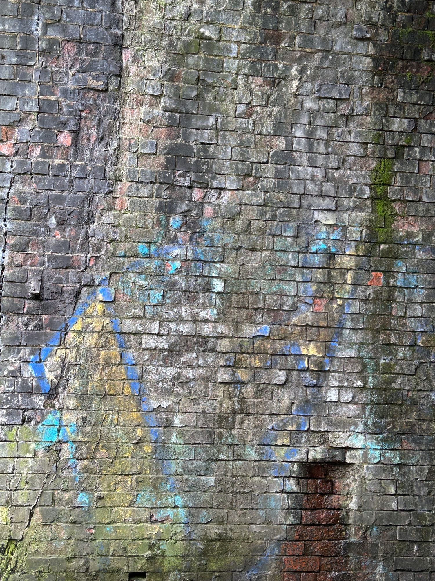 Carolyn Zaldivar Snow cover image