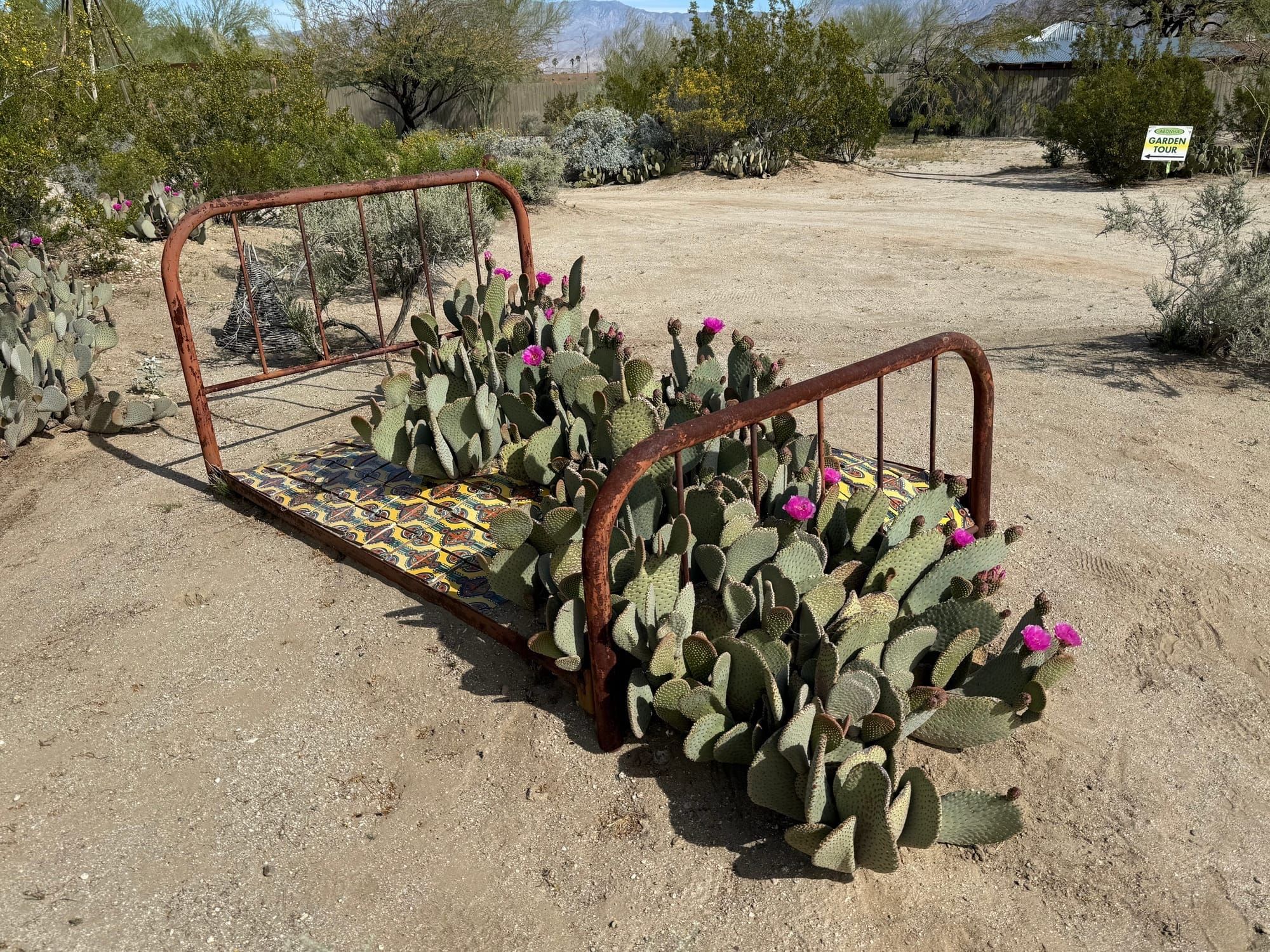 Cary Baker cover image