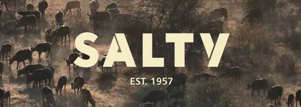Salty - Full Catalogue