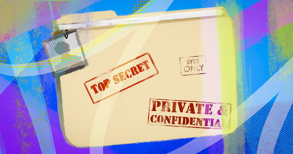 Everyone Has Something to Hide and how Aloha Private Bowser Helps Here