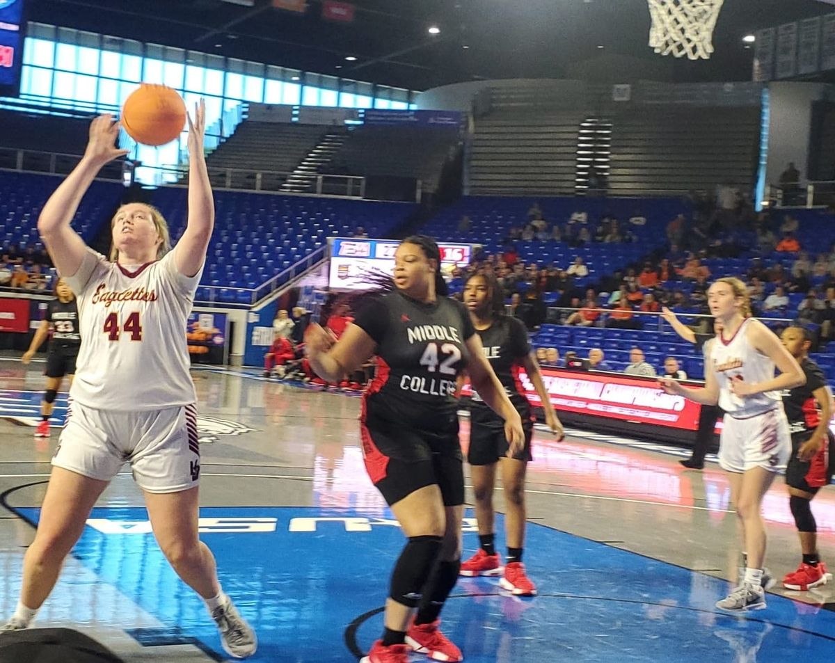 Eaglettes win big in state tourney