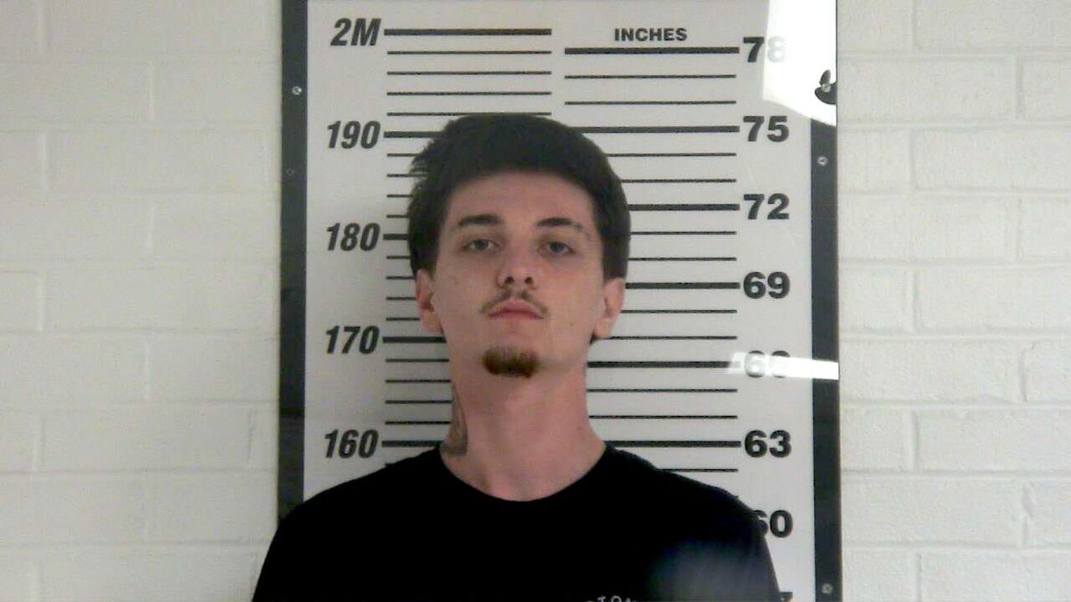 Davis jailed for multiple counts