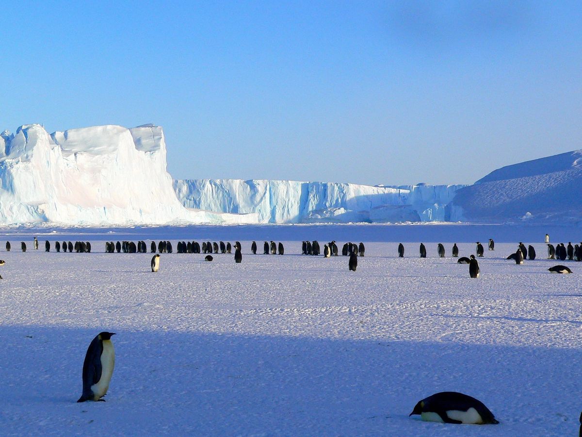 Signs of Life: One Planet Freezing Over, One Heart Warming Up