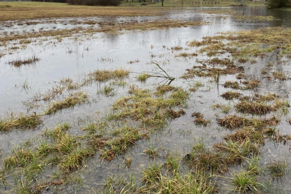Bobby Ray Wetlands project nearing completion