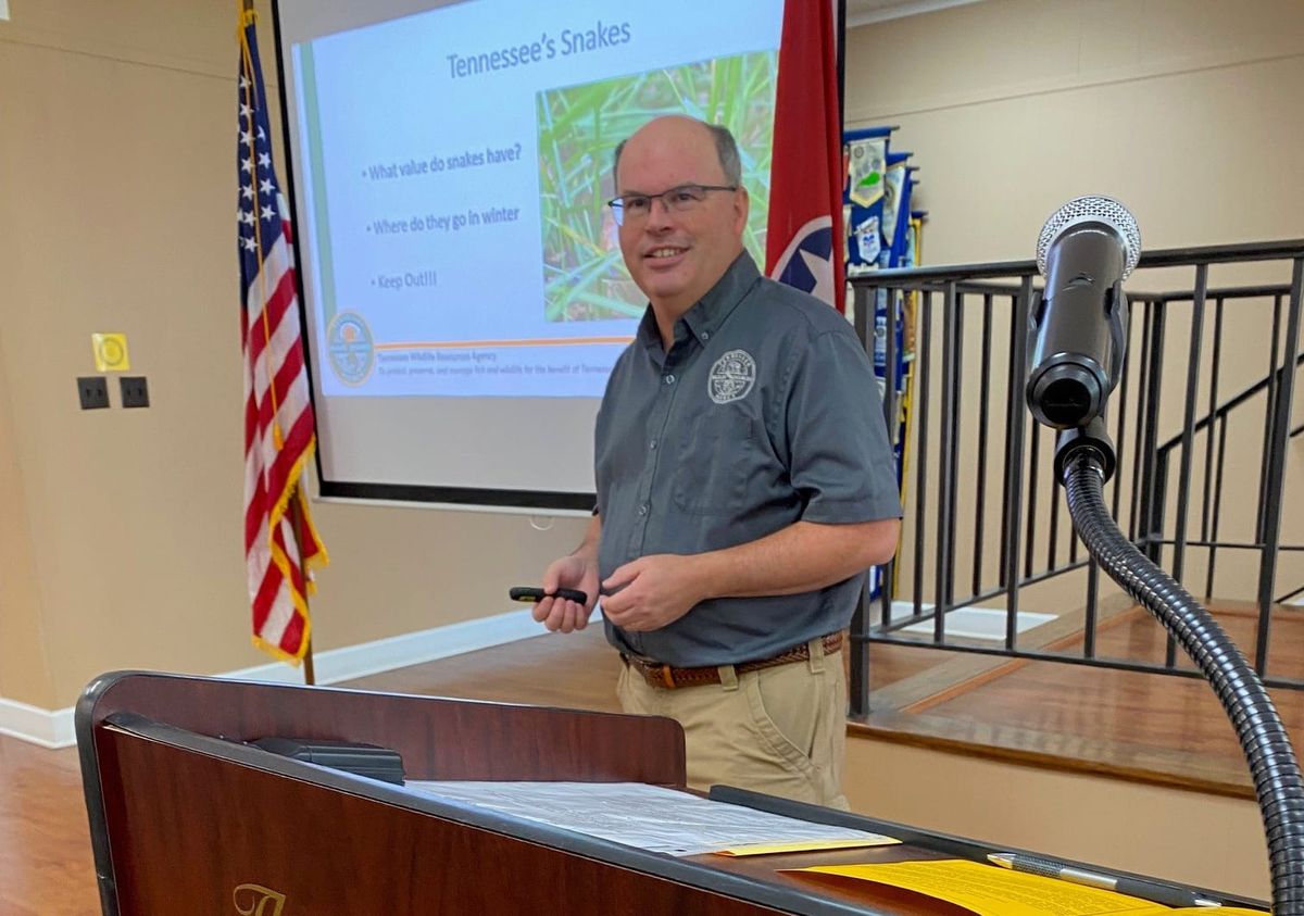 Are snake fears founded?