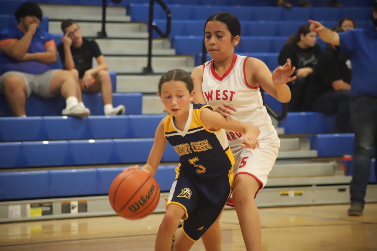 Lady Hawks stay perfect