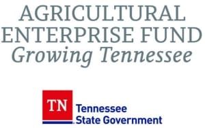 Local businesses receive AEF grants