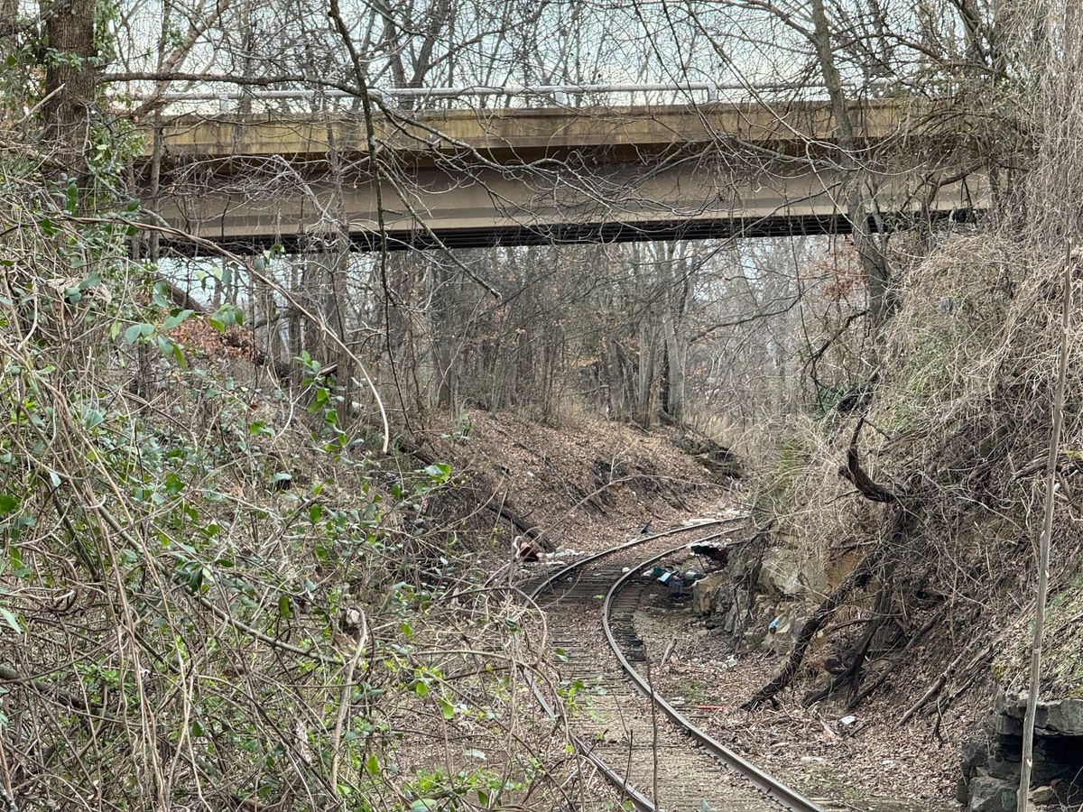 Homeless count vital to relief efforts