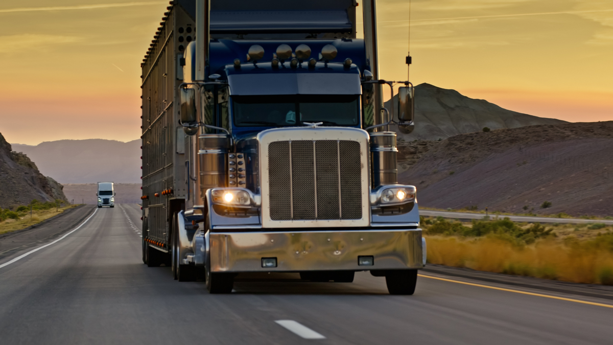 Tennessee Bill would make it a crime for illegal immigrants to drive commercial trucks