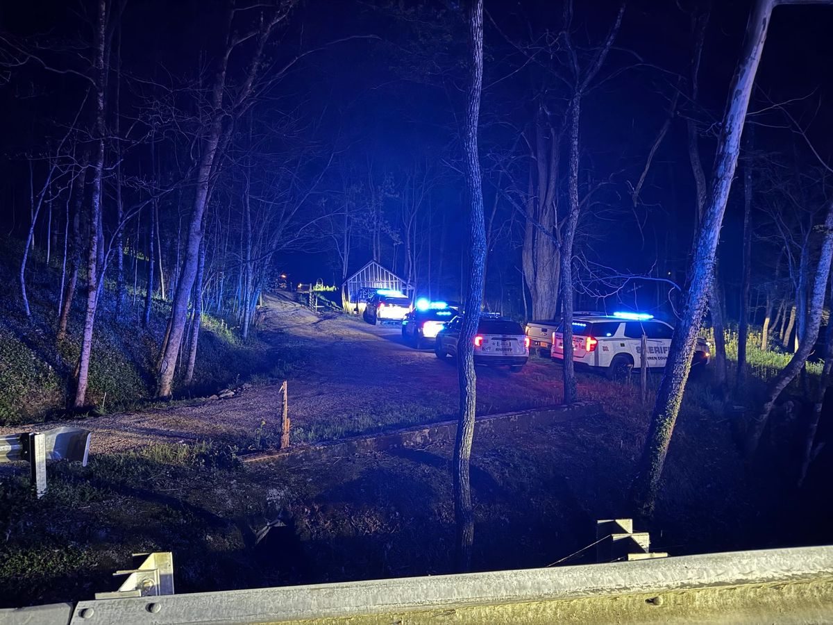 Brush fire under control