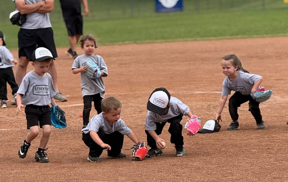 Tiny Tots Steal the Show at the Ballpark