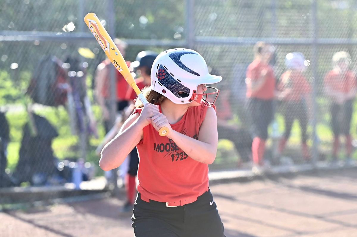 Youth Baseball/Softball Recap: June 4-5