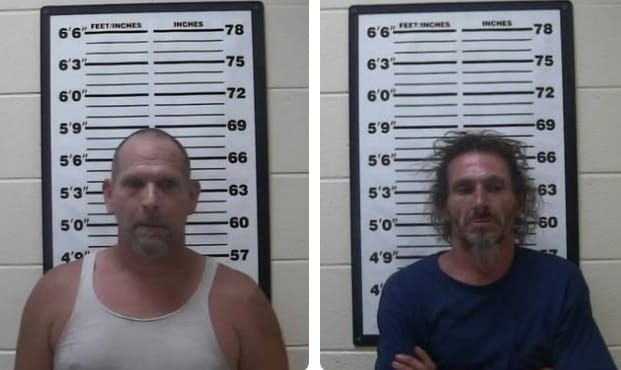 Suspect Arrested in Pedestrian Hit and Run