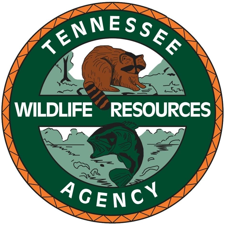 Squirrel Season Opens  Saturday, Free Hunting Day August 22, 2026