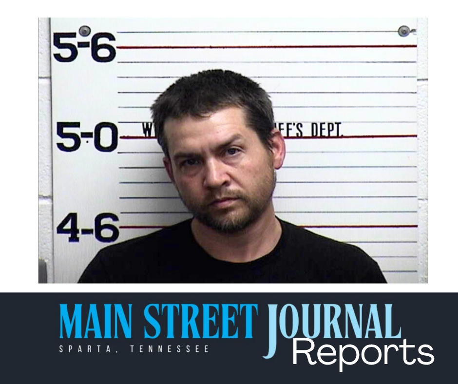 Dog incident, vehicle chase ends with guilty plea
