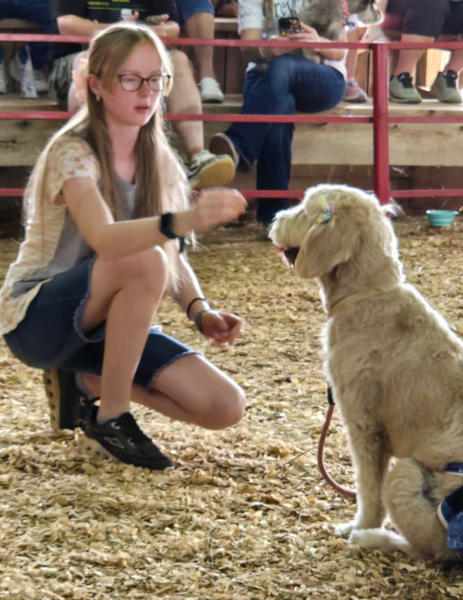 Final day of fair gets off to 'ruff' start