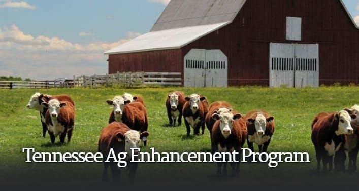 Tennessee Agricultural Enhancement Program Applications Open