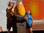 Jurassic Park Theater