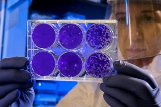 Electric Mud and Memory Medicine: Two Quiet Miracles You’ll Want to Know About