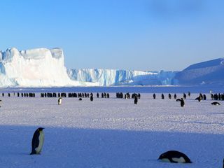 Signs of Life: One Planet Freezing Over, One Heart Warming Up