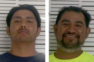 Backyard pot shots lead to felony charges