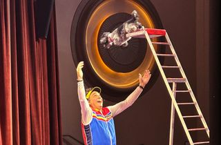 Bark Theater