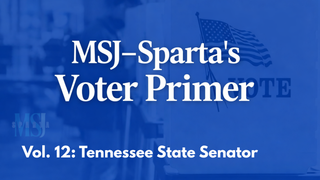 Voter Primer: What a Tennessee State Senator Does (and does not do)