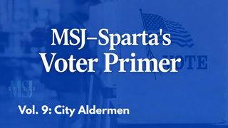 Voter Primer: What City Aldermen do (and do not do)