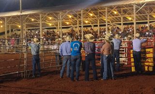 Rain Couldn't Buck the Rodeo