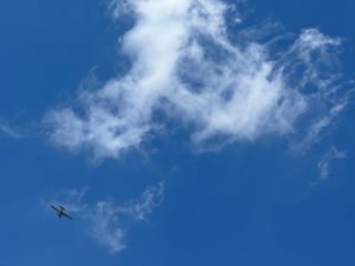 Plane crash victims identified