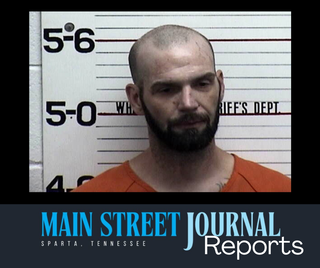Threat to kill mother ends in guilty plea