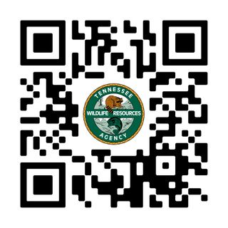 TWRA REQUESTS PUBLIC INPUT FOR 2027-28 FISHING REGULATIONS