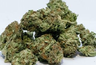 Police Seize Drugs After a Suspicious Person Investigation