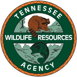 Leftover 2026 WMA Hunt, Waterfowl Blind Permits Available