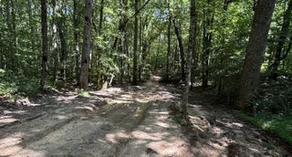 Road Use Designations Updated at Bledsoe State Forest