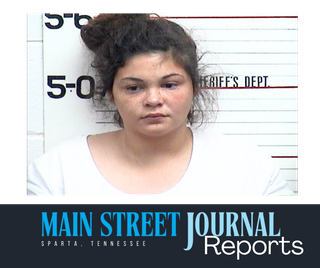 Woman sentenced after meth found in toddlers' hair samples