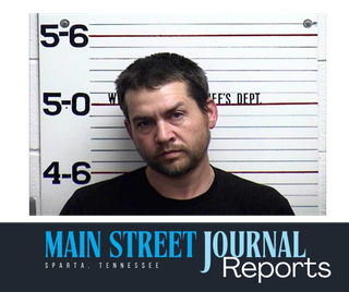 Dog incident, vehicle chase ends with guilty plea