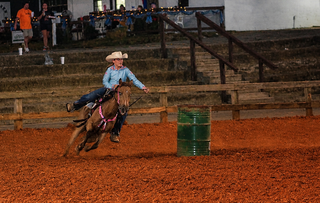 PHOTOS: From the show ring to the chicken house