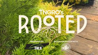 Rooted in Warren County