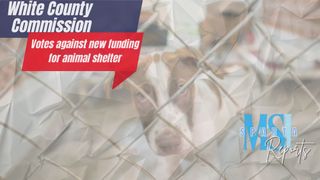 No new manager for animal shelter