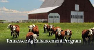 Tennessee Agricultural Enhancement Program Applications Open