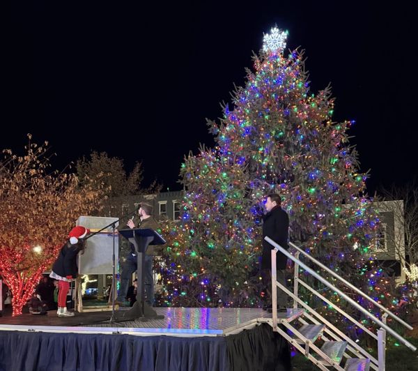 'Live' from McMinnville, it's a Christmas tree!